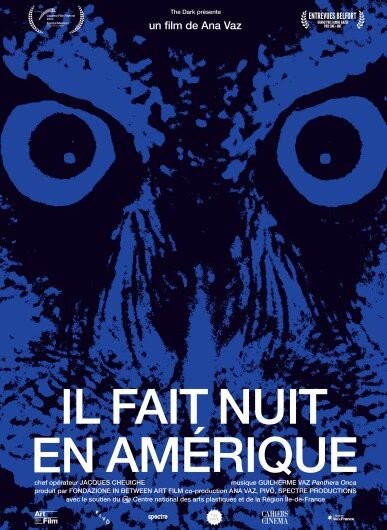 Affiche Il fait nuit en Amérique de Ana Vaz