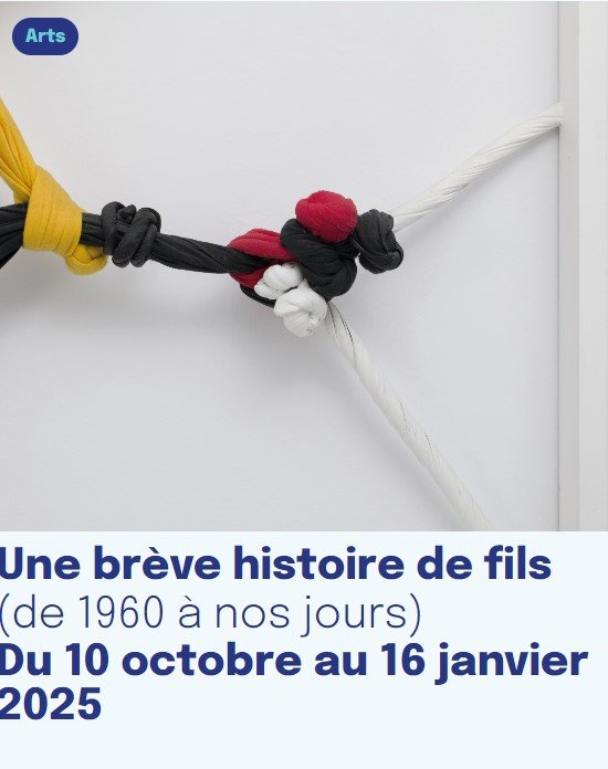 Affiche - Une brève histoire de fils - Maison de l'Amérique latine - 10 octobre 2024 - 16 janvier 2025