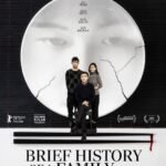 Affiche Brief History of a family - Lin Lianjie