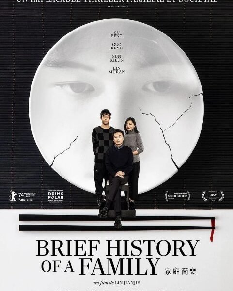 Affiche Brief History of a family - Lin Lianjie