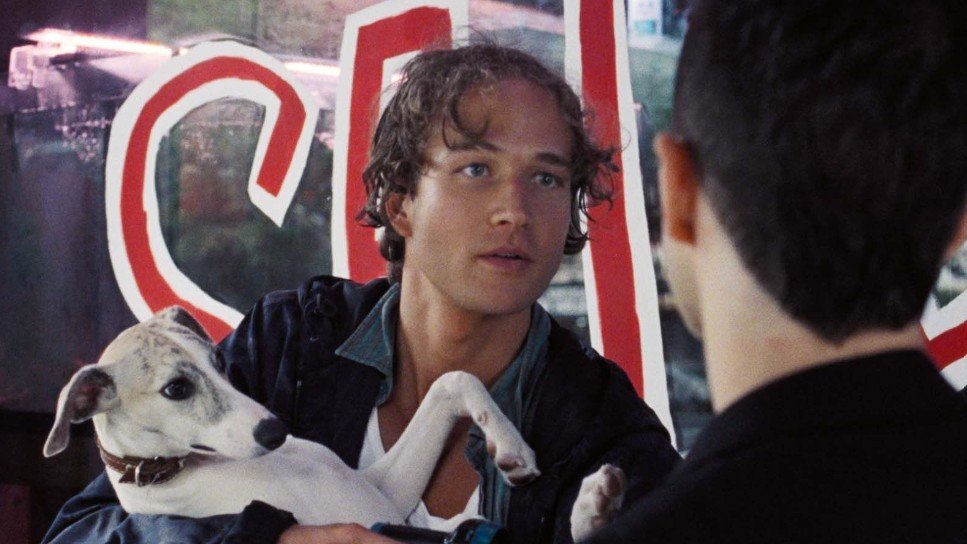 Pet Shop Days - Olmo Schnabel