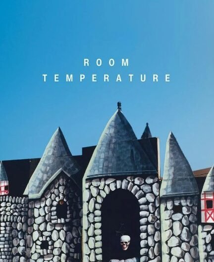 Affiche de Room Temperature - Dennis Cooper - Zac Farley