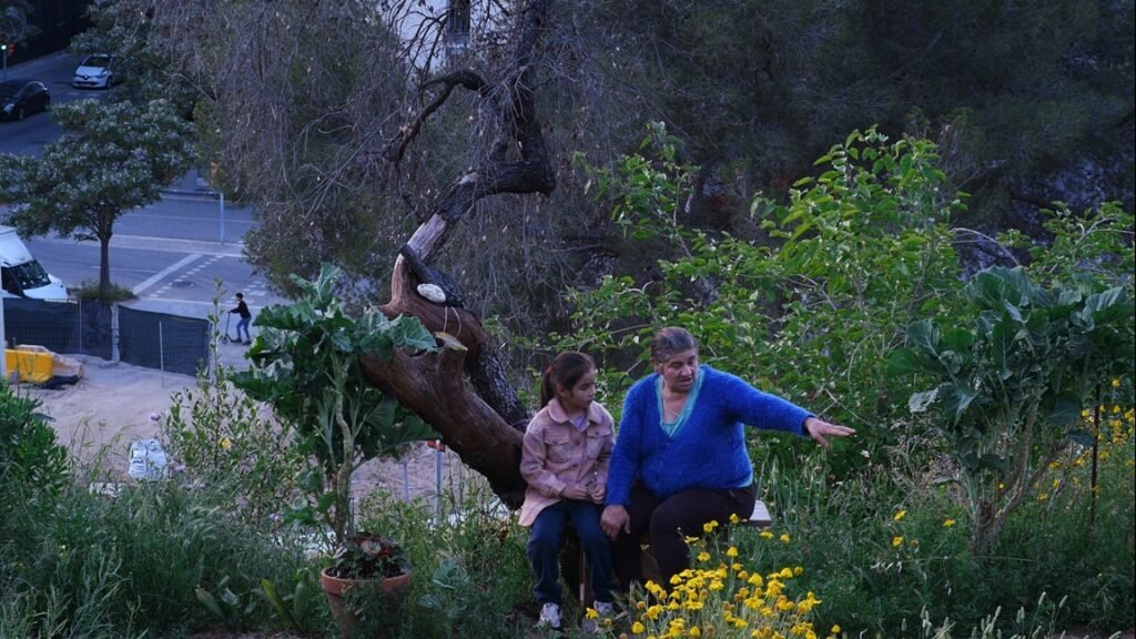 Transmission - Histoires de la bonne vallée (Historias del buen valle) - 2025 - José Luis Guerin