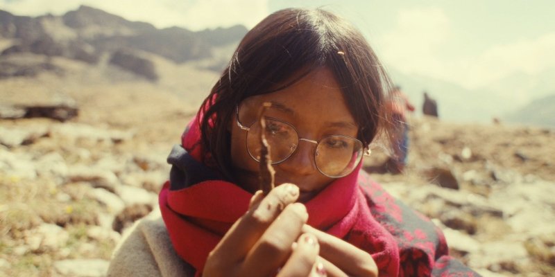 Le yarsagumba - Au delà de Katmandou - Alexander Murphy