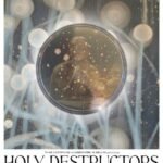 Holy Destructors -2025 - Aiste Žegulytė