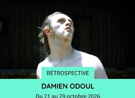 Affiche Retrospective Cinémathèque Damien Odoul